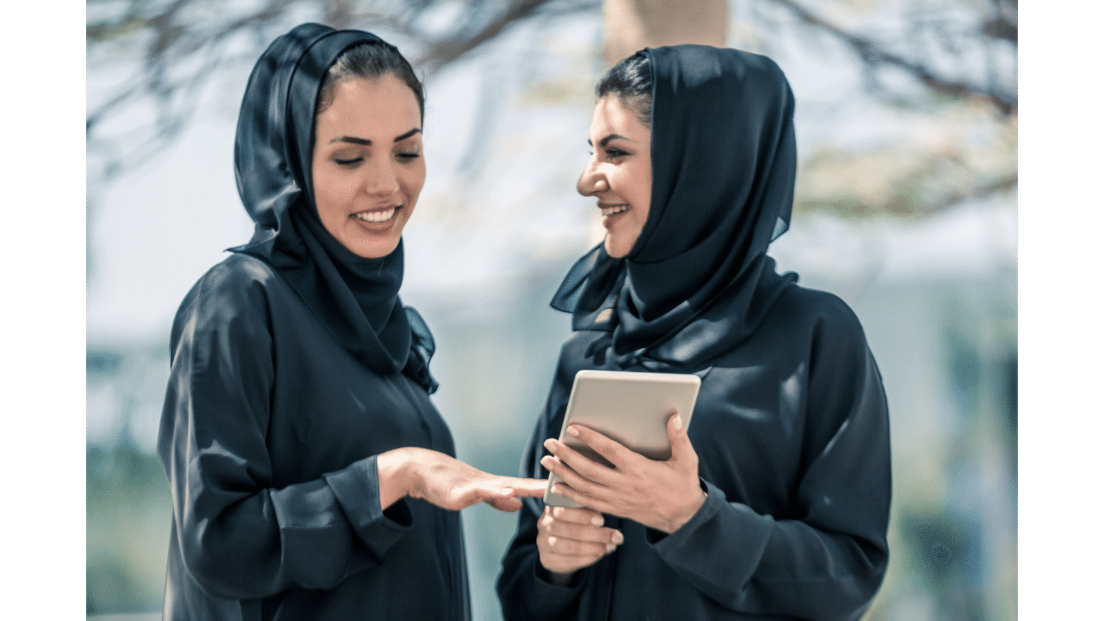دليل السيو العربي