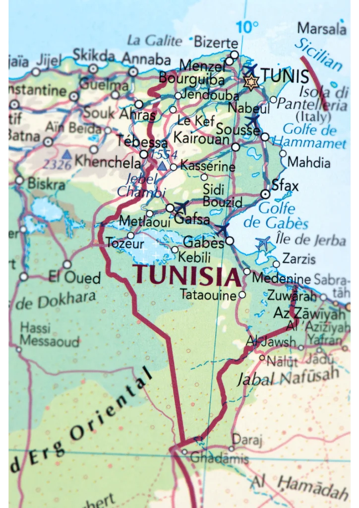 SEO Agency in Tunisia
